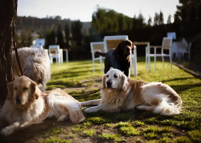 Keyser Διαμέρισμα Sopelana